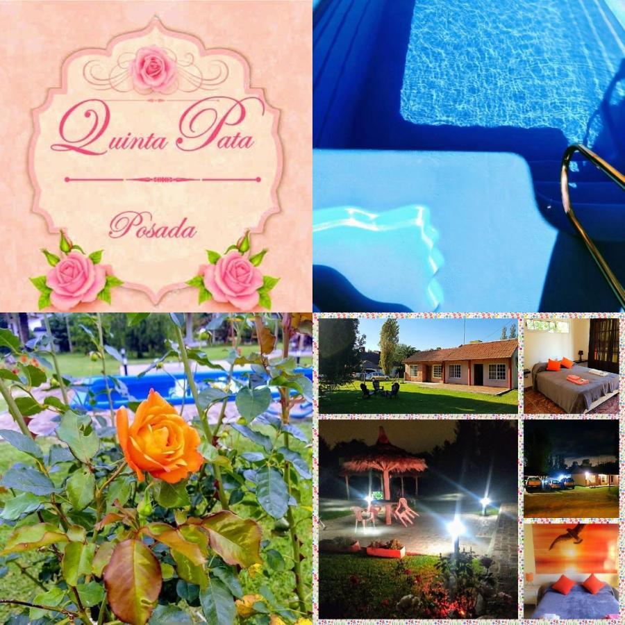 Posada Quinta Pata Ezeiza Luaran gambar