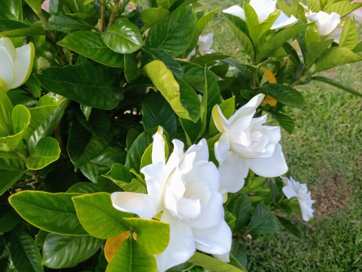 Posada Quinta Pata Ezeiza Luaran gambar